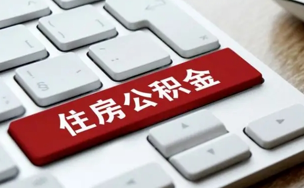 白山公积金公司交的部分怎么提取（公积金提取公司缴纳部分）